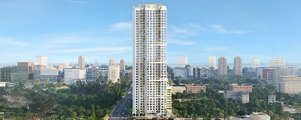 The Baya Company Banner